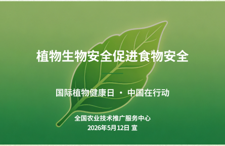 【植物健康日· 中国在行动】植物生物安全促进食物安全