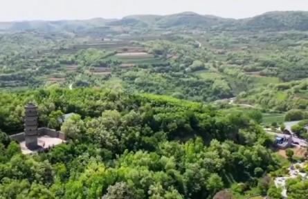 陕西永寿县：48万亩槐海迎客来 小槐花撬动农文旅融合大产业