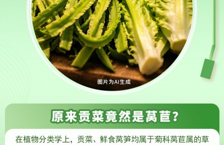 30秒懂|原来贡菜是莴苣？