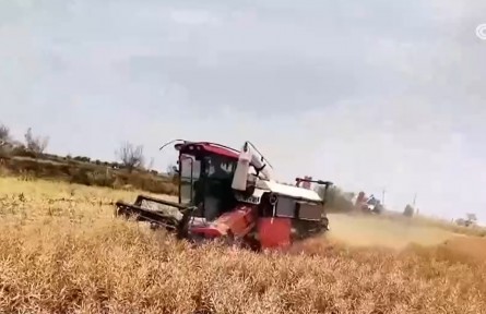 【在希望的田野上】我国夏油作物收获进入高峰
