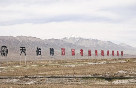 祖国好 家乡美】青海德令哈：盐碱地的六年重塑路