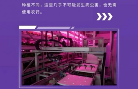 探秘智慧农业——未来农业的“立体工厂”