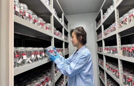 青藏高原生物种质资源库开放数据共享
