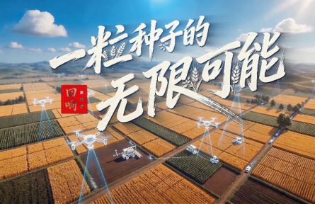 回响丨一粒种子的无限可能