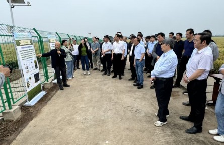 小麦茎基腐病防控技术取得新突破