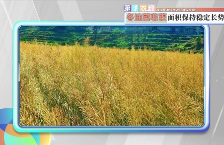 我国夏油作物收获进入高峰