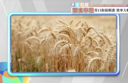 “政策+科技”双管齐下 “稻麦同框”绘就智慧农业新图景