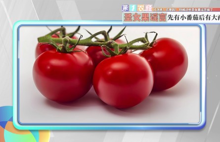 打激素?转基因? 别被这些圣女果谣言骗了