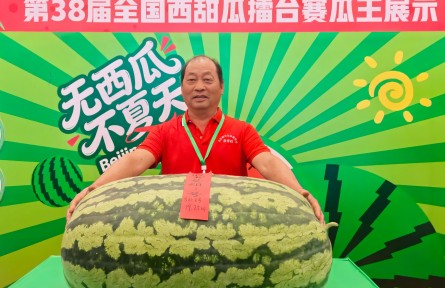 重159.5斤！新“瓜王”揭晓
