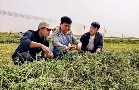 铸牢中华民族共同体意识丨带着种养新技术，赴一场草原之约