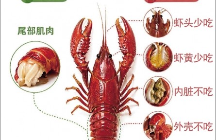 小龙虾的虾头虾黄能吃吗