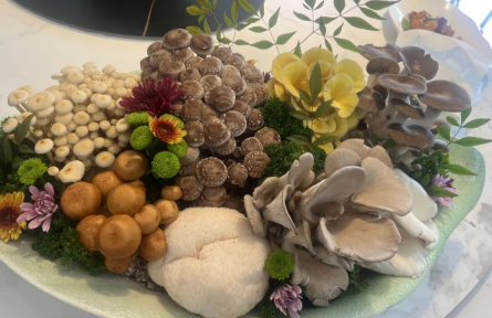 海派乡村新图景丨魔都农业科创力：看“活体菌菇”如何破圈走市场