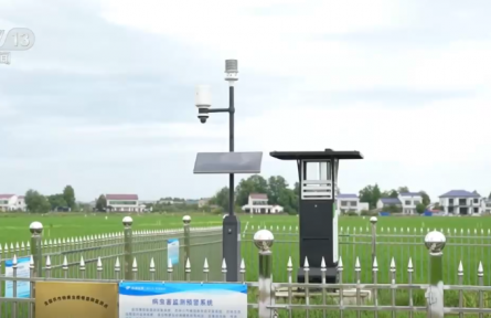 全国早稻进入生长关键期 “智能设备+科学田管”让丰收底色更亮眼