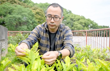 陈志辉：匠心选育撑起茶农致富梦