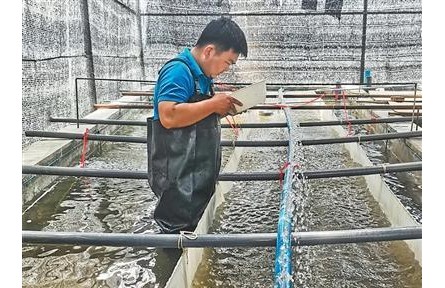 90后养鱼人王敏奇:守护澜沧江的渔业“种子”
