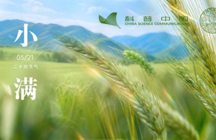 节气科普|小满的“满”到底是什么“满”?