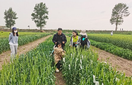 吉林高校把科研成果转化为粮食生产实际效能——给黑土地增产装上“智力引擎”