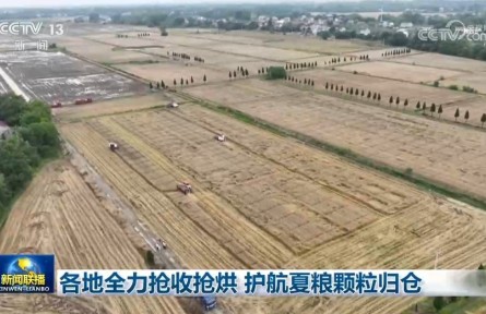 各地全力抢收抢烘 护航夏粮颗粒归仓