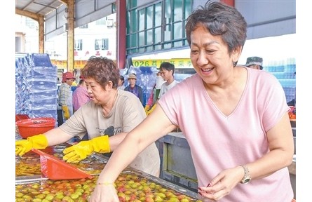荔枝采摘后为何要泡水?