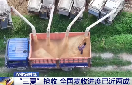 各地多措并举确保“三夏”抢收颗粒归仓 数字化调度让麦收跑出“新速度”