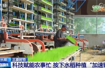 “良机+良种+良法”赋能农业生产 为绘就好“丰”景按下“加速键”