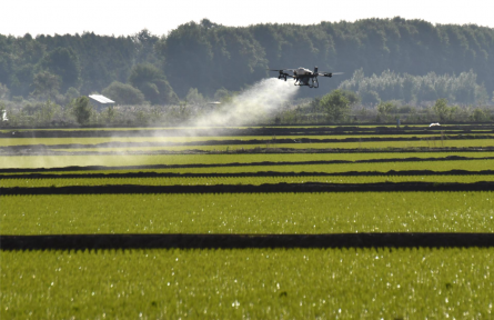 加快农业农村现代化“十五五”规划 plan to accelerate agricultural and rural modernization during the 15th Five-Year P