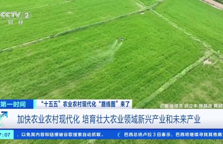 加快农业农村现代化 培育壮大农业领域新兴产业和未来产业