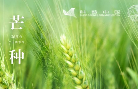 节气科普|芒种“忙”什么？“种”什么？