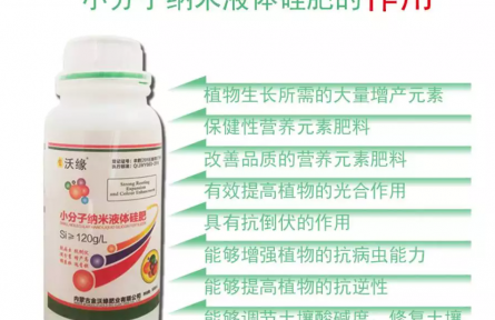 高温天气,如何浇菜?