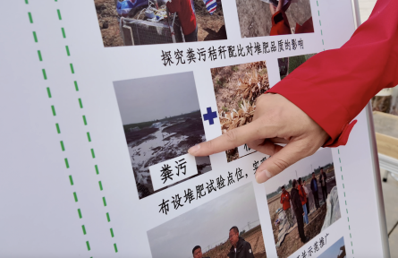 变废为宝新思路!种养循环盘活有机肥“大生意”
