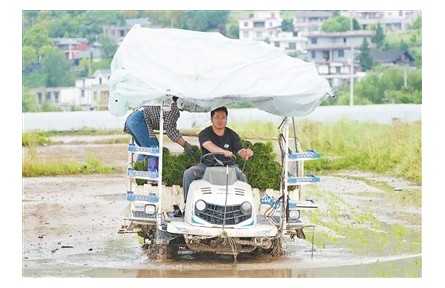 人民日报│贵州新农人返乡创业，带动群众增收致富