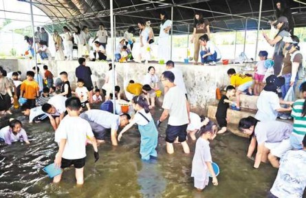 从卖农产品到“卖体验” 笑声不断 这个农场主打“情绪消费”