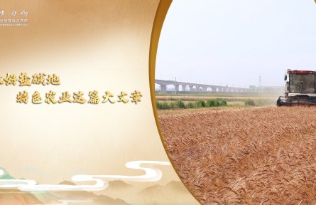 【习声回响】做好盐碱地特色农业这篇大文章