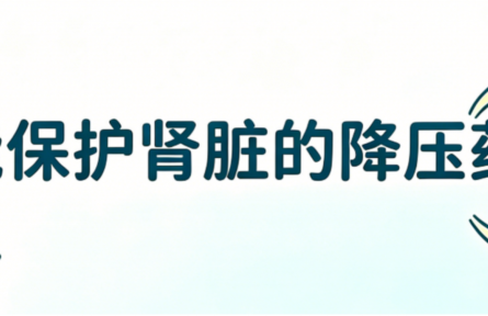降压药为什么有保护肾脏的作用？