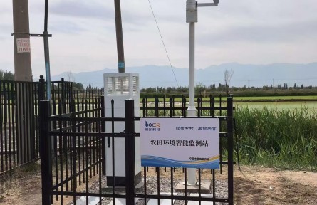 闽宁协作 山海情长｜南梁农场千亩盐碱地迎来“智”变