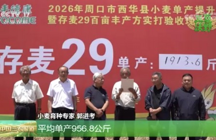 河南的育种专家,为啥没个“专家样”?