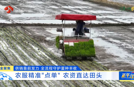 供销靠前发力 全流程守护夏种丰收 农服精准“点单” 农资直达田头