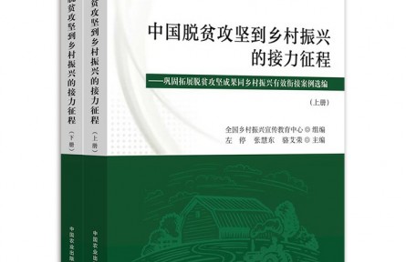 《中国脱贫攻坚到乡村振兴的接力征程》,解锁乡村发展新密码