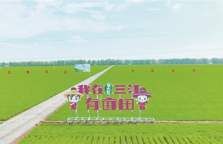 北大荒集团建三江分公司：解锁黑土农业增值密码