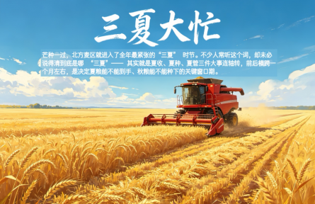 又到“三夏”大忙时节，到底啥是“三夏”？