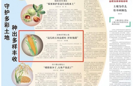 人民日报聚焦梨树：“这儿的玉米品质好、籽粒饱满”