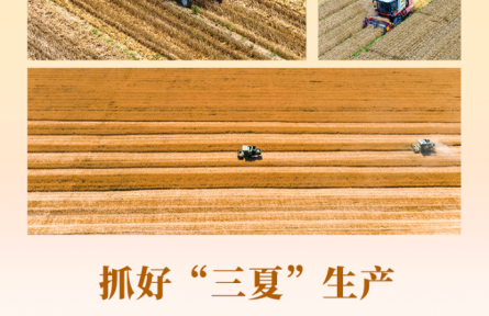 抓好“三夏”生产 夯实全年丰收根基