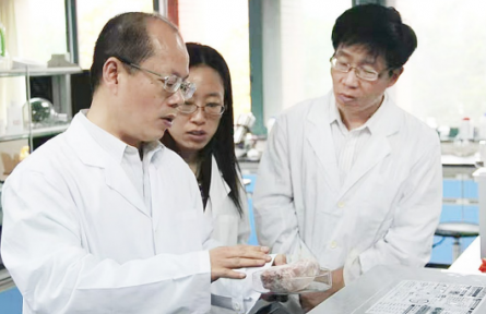 孙大文食品人工智能研发团队：更精准更高效更可持续——AI重塑食品科学未来