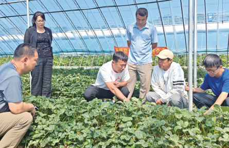 【优化营商环境】辽宁省丹东市总工会：田间授课为草莓产业解难题增动能