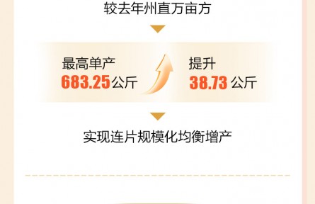 石榴数据线丨千亩方亩产刷新全国高产纪录!伊犁冬小麦这组数据太“顶”了