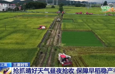 “多点发力”全力保障早稻稳产丰收 特色产业“智慧化”鼓起群众“钱袋子”