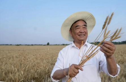 从人民大会堂归来,他又蹲回皖北田埂搓麦穗了