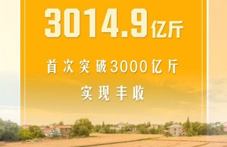 全国夏粮产量首次突破3000亿斤