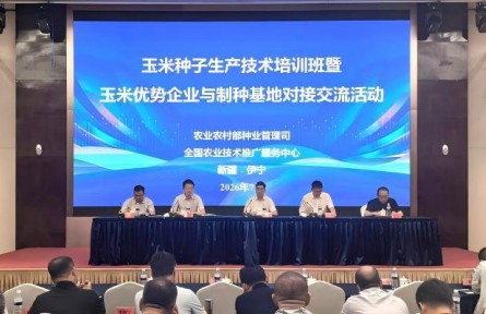 2026年玉米种子生产加工技术培训班在新疆伊犁举办