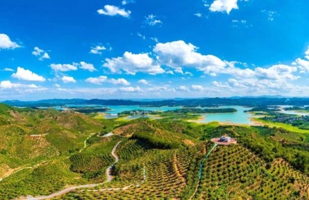右江区:荒坡结“金果” 大棚藏“智慧”